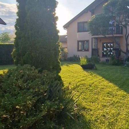 Celeste House Sibiu Exterior photo