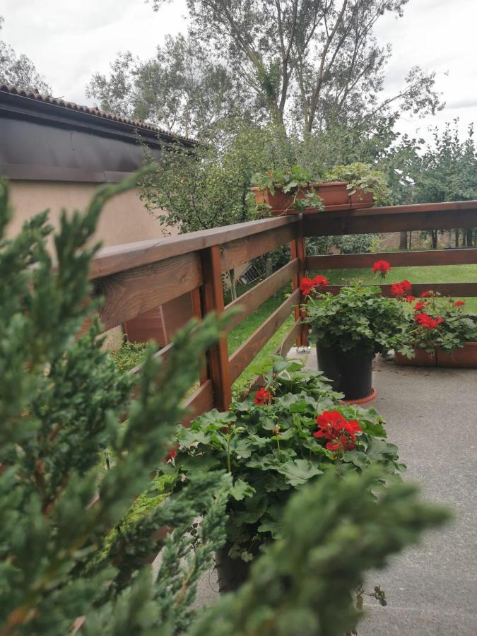 Celeste House Sibiu Exterior photo